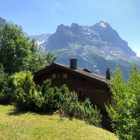 Apartment Chalet Sunneblick By Interhome Grindelwald Bagian luar foto